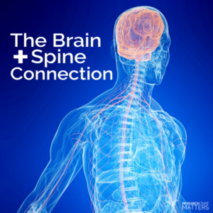 Chiropractic Helps the Brain