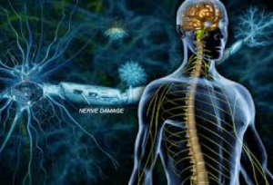 Working With Multiple Sclerosis
